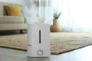 Adding vinegar to humidifier water will help to reduce bacteria, mold and mildew